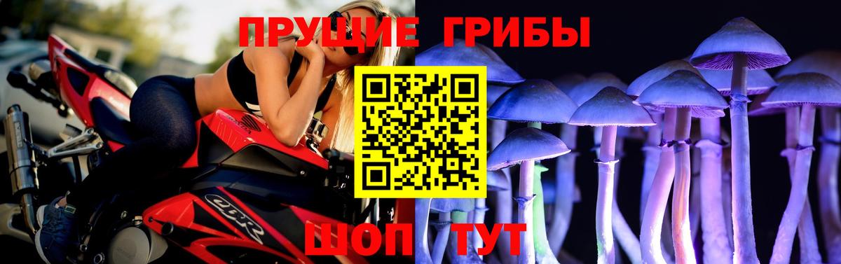 Майский  Псилоцибиновые грибы ЛСД  Галлюциногенные грибы Psilocybe  Вход с VPN 